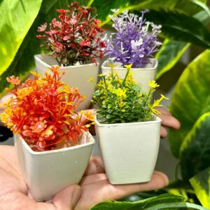 Set of 4 Mini Cute plants